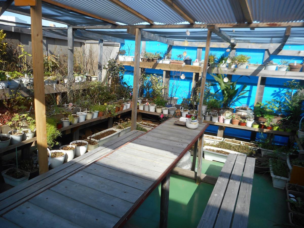 Jgh Tokyo Hostel Кавагучи Екстериор снимка